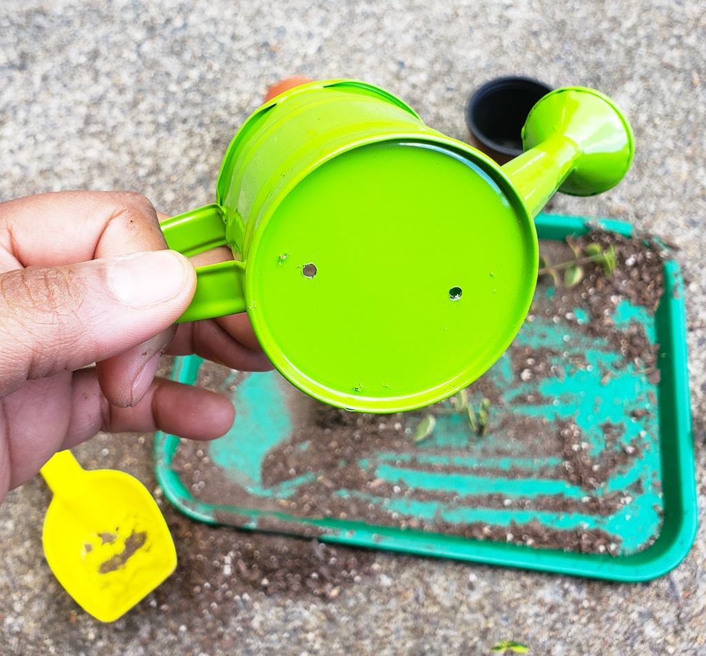 How to Make a DIY Succulent Gift for Mother’s Day. Succulent garden in mini colorful watering cans. Perfect for Mother’s Day, Grandparents Day, or Teacher’s Appreciation Day. Littleeatsandthings.com