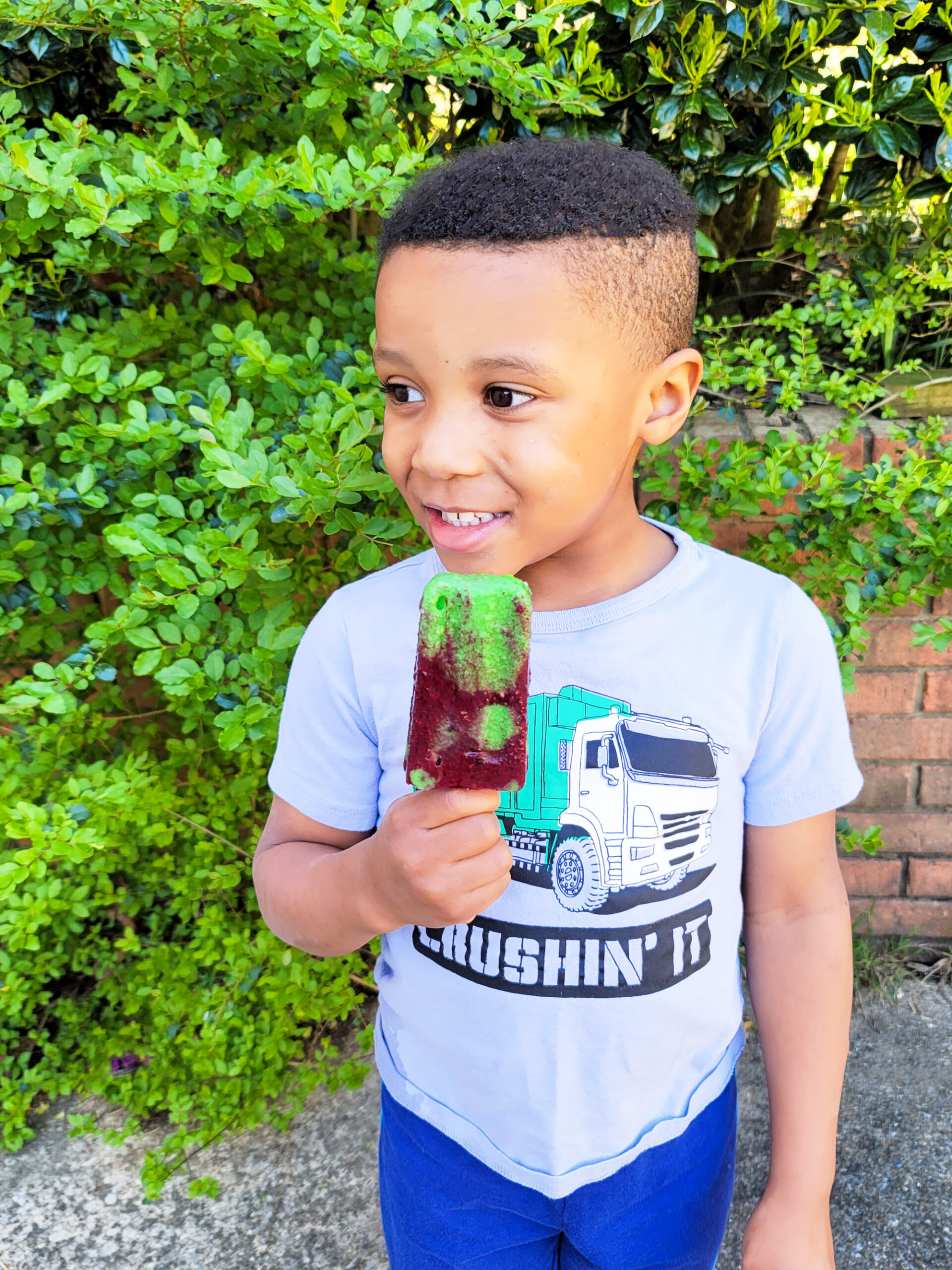 Celebrate Earth Day with these fruity Berry Banana Avocado Earth Day Popsicles made with blackberries, blueberries, banana, and avocado littleeatsandthings.com